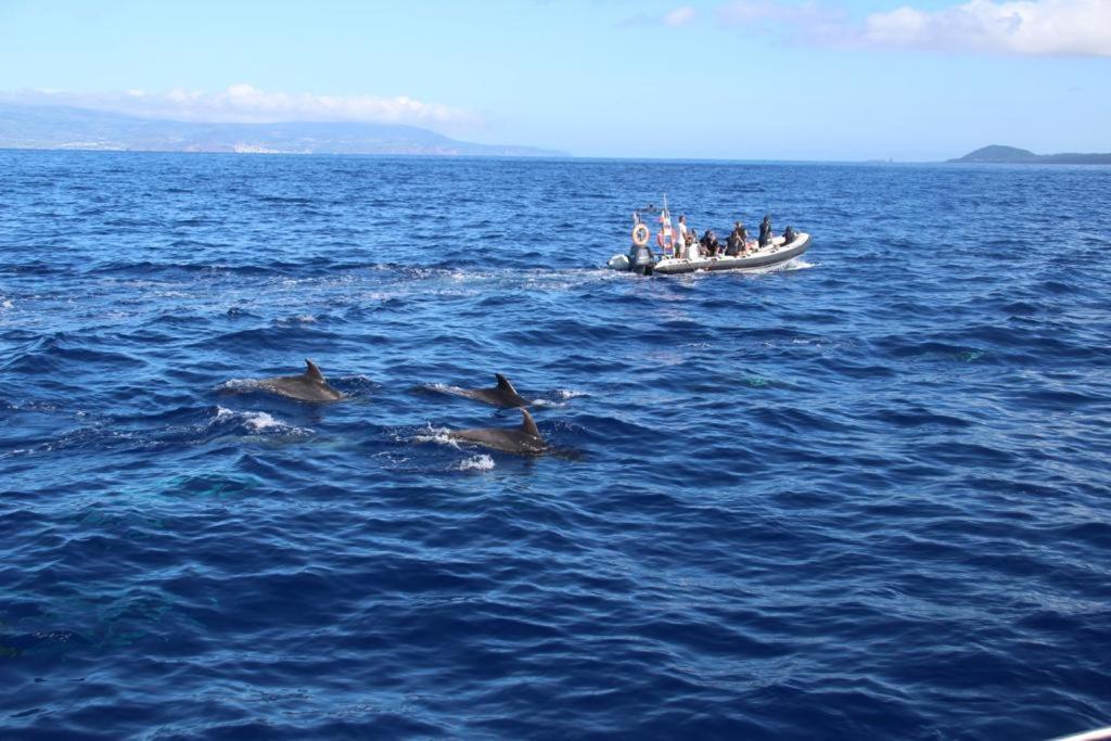 Cantinho Dos Cagarros Lajes do Pico Kültér fotó