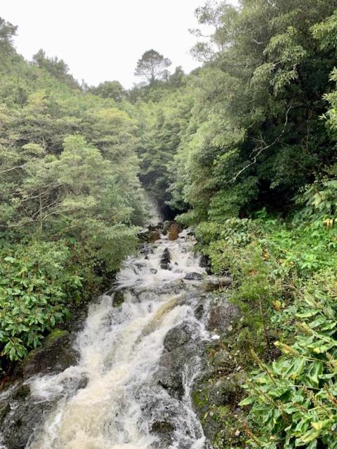 Cantinho Dos Cagarros Lajes do Pico Kültér fotó