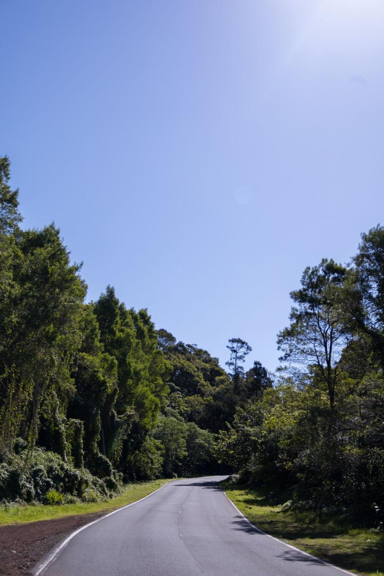 Cantinho Dos Cagarros Lajes do Pico Kültér fotó