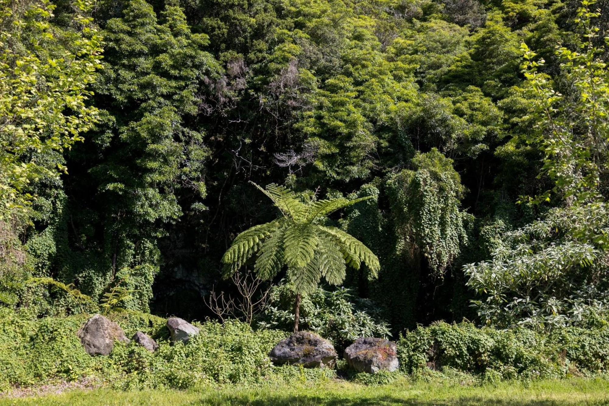Cantinho Dos Cagarros Lajes do Pico Kültér fotó